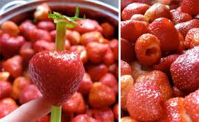 fragola