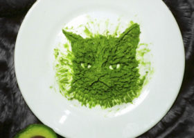 image_url_1476765696