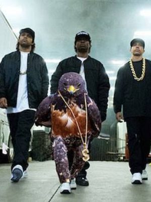 uccello_fotogenico_virale_newslandia-13