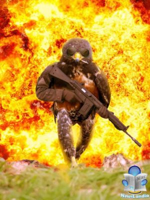 uccello_fotogenico_virale_newslandia-14