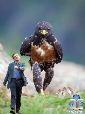 uccello_fotogenico_virale_newslandia-2