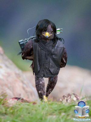 uccello_fotogenico_virale_newslandia-3