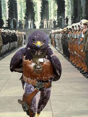 uccello_fotogenico_virale_newslandia-9